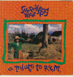 V/A: Surprise Your Pig